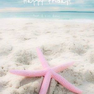 Meet your Posher, Ann